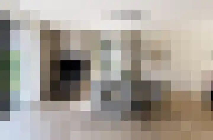 Kardoes 19 Muiden thumbnail 11