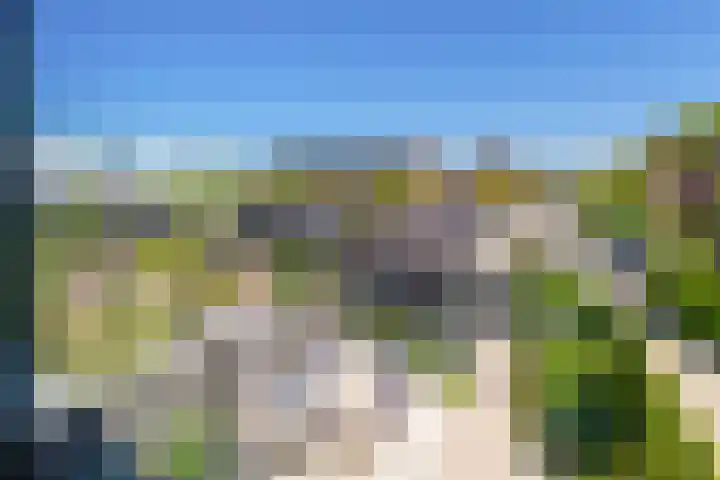 Kardoes 19 Muiden thumbnail 19