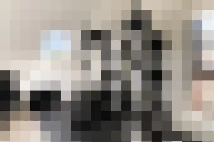 Kardoes 19 Muiden thumbnail 30