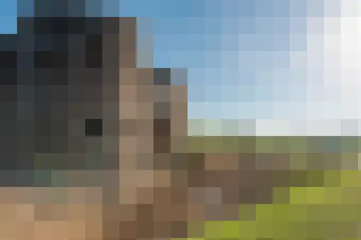 Kardoes 19 Muiden thumbnail 35