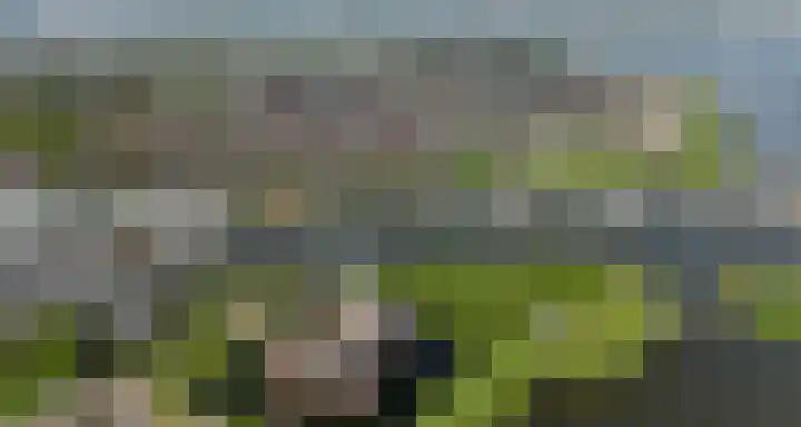 Kardoes 19 Muiden thumbnail 39