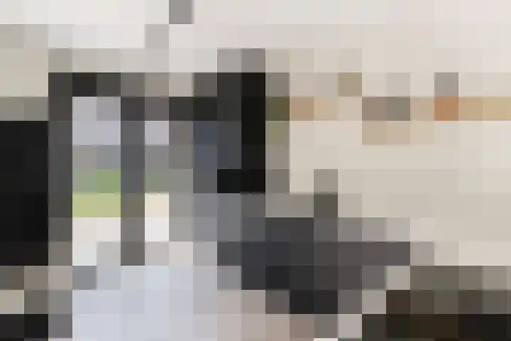 Kardoes 19 Muiden thumbnail 5