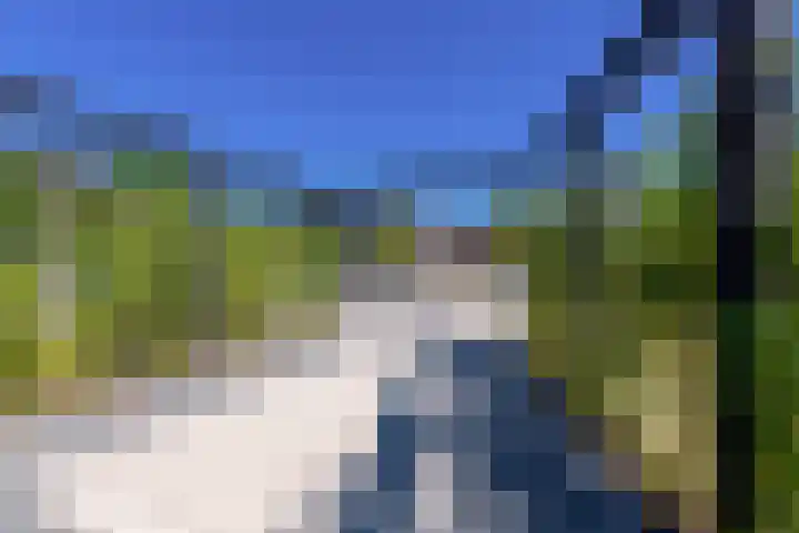 Kardoes 19 Muiden thumbnail 7
