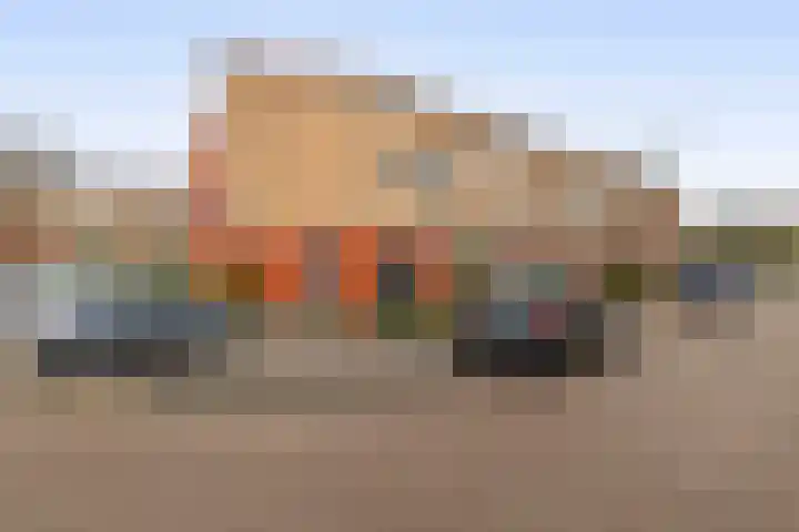 Karekiet 100 dans 's-Gravenzande