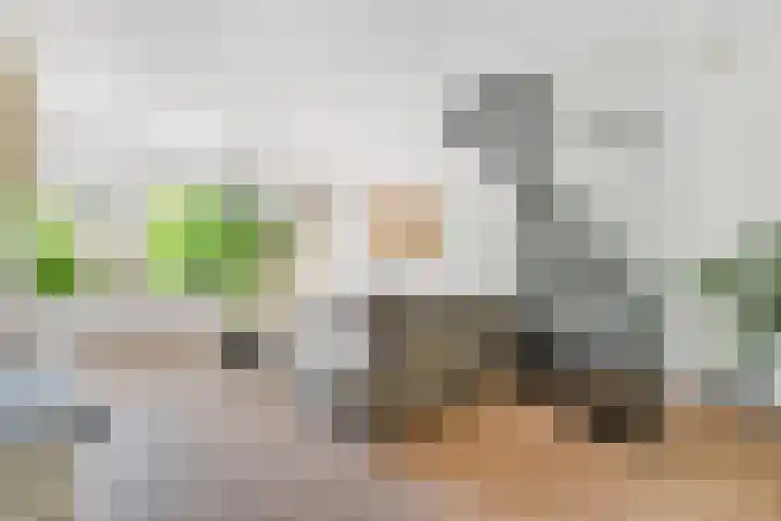 Karekiet 2 Leusden thumbnail 12