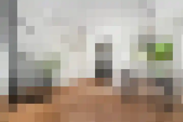 Karekiet 2 Leusden thumbnail 13