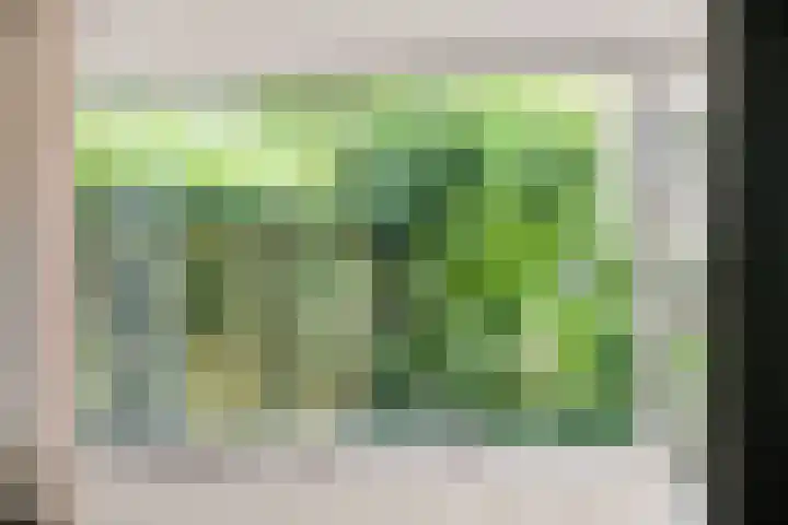 Karekiet 2 Leusden thumbnail 17