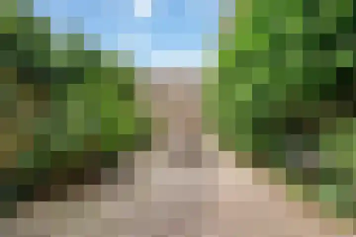 Karekiet 2 Leusden thumbnail 20