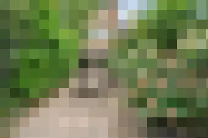 Karekiet 2 Leusden thumbnail 21
