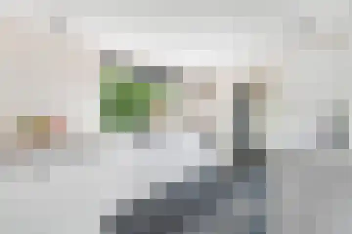 Karekiet 2 Leusden thumbnail 24