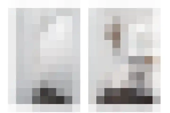 Karekiet 2 Leusden thumbnail 30