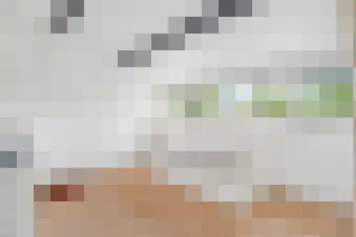 Karekiet 2 Leusden thumbnail 36
