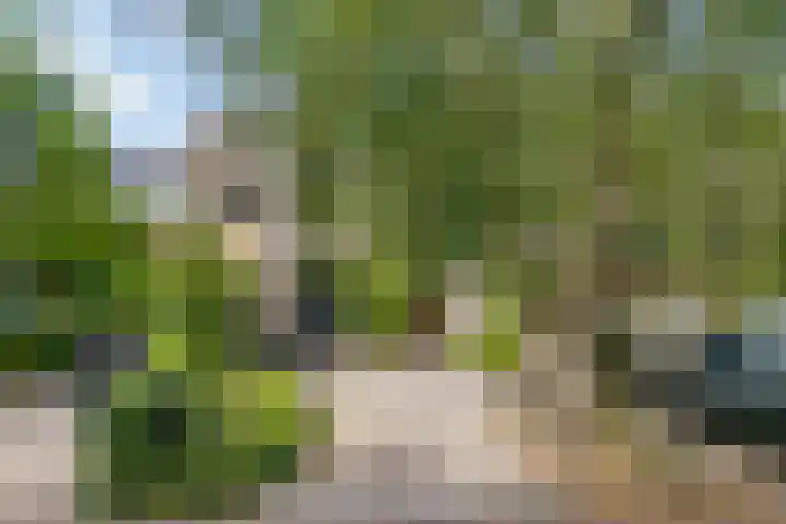 Karekiet 2 Leusden thumbnail 5
