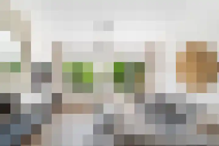 Karekiet 2 Leusden thumbnail 9