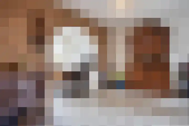 Karel de Stoutestraat 30 Oss thumbnail 13