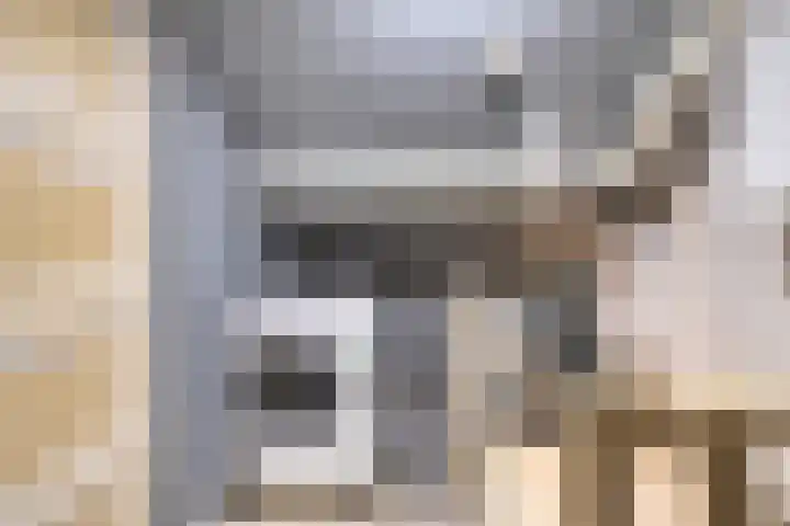 Karel de Stoutestraat 30 Oss thumbnail 27