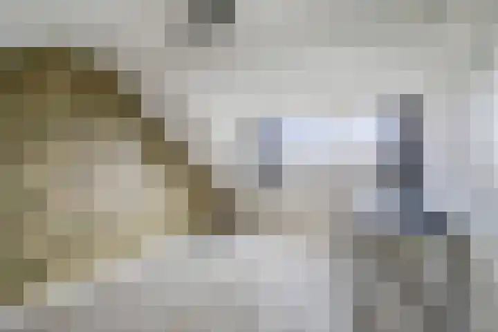 Karel V-straat 6 Oss thumbnail 28