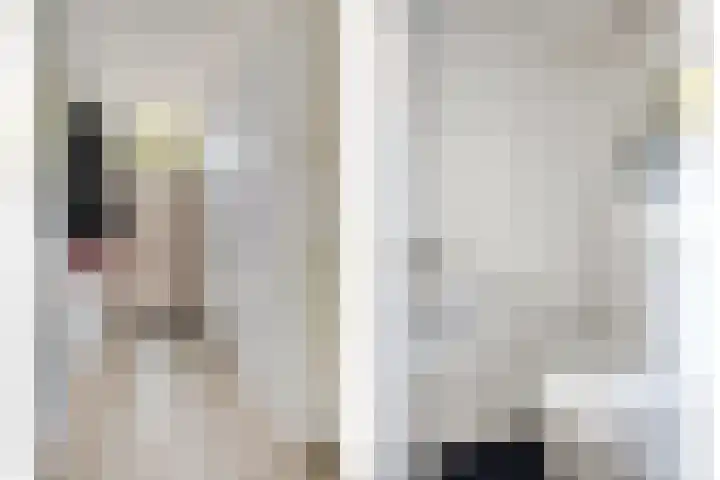 Karel V-straat 8 Oss thumbnail 6