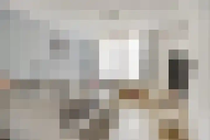 Karel V-straat 8 Oss thumbnail 8
