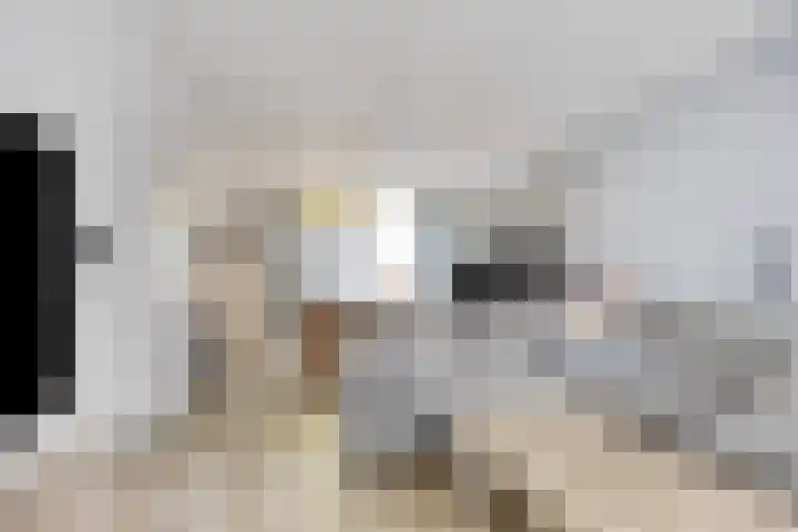 Karel V-straat 8 Oss thumbnail 9