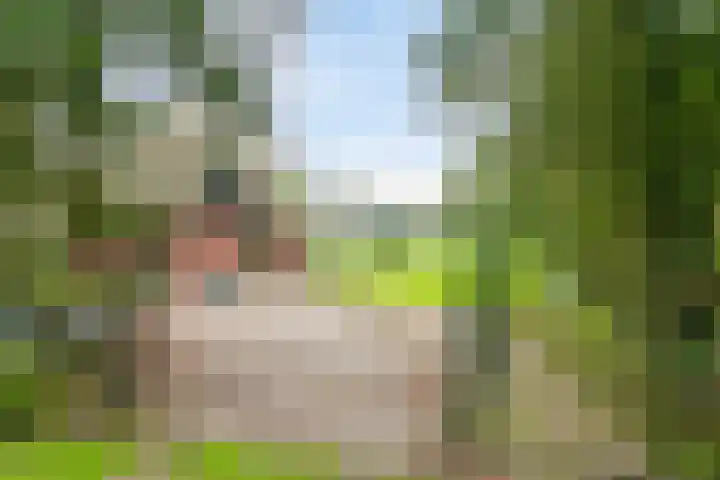 Karelsdijk 2 a 21 Neede thumbnail 22