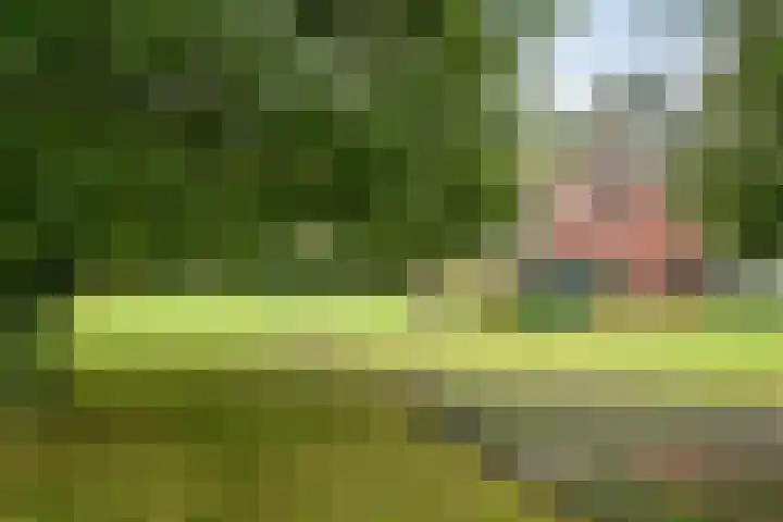 Karelsdijk 2 a 21 Neede thumbnail 24