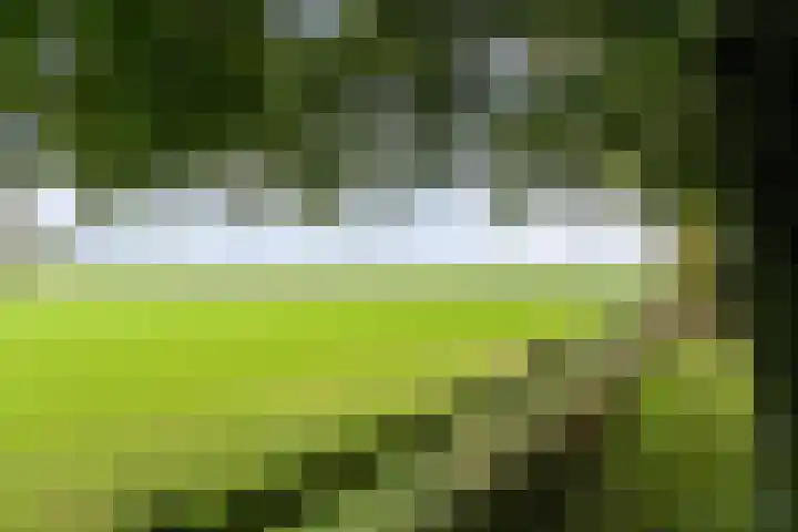 Karelsdijk 2 a 21 Neede thumbnail 25