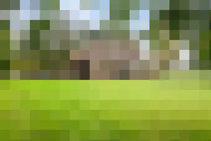 Karelsdijk 2 a 21 Neede thumbnail 30