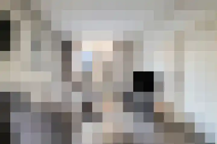 Karelstraat 7 Uden thumbnail 10