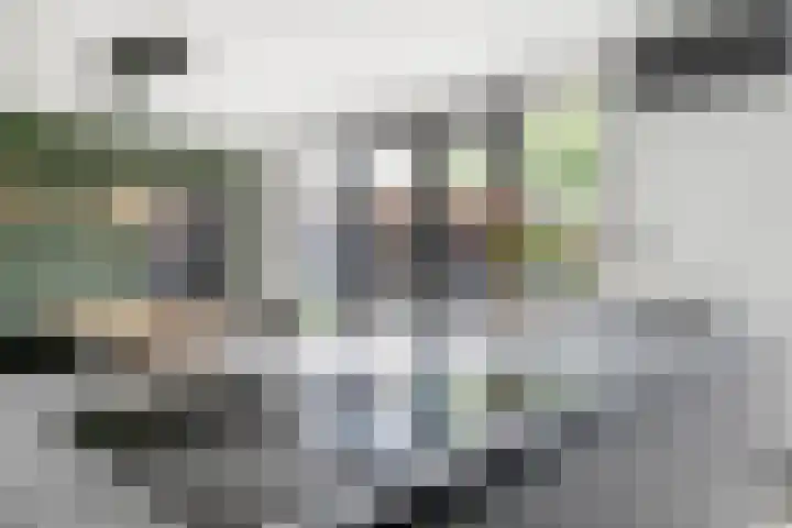 Karelstraat 7 Uden thumbnail 12