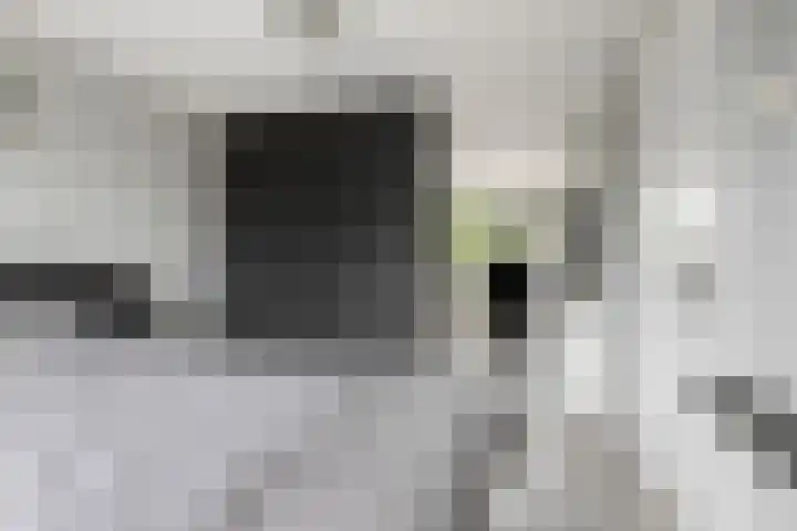 Karelstraat 7 Uden thumbnail 20