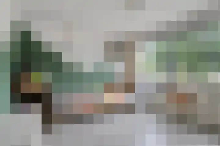 Karelstraat 7 Uden thumbnail 24