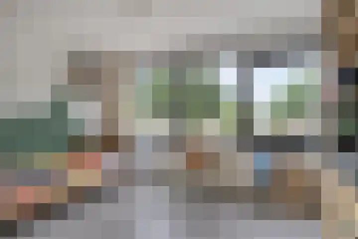 Karelstraat 7 Uden thumbnail 25