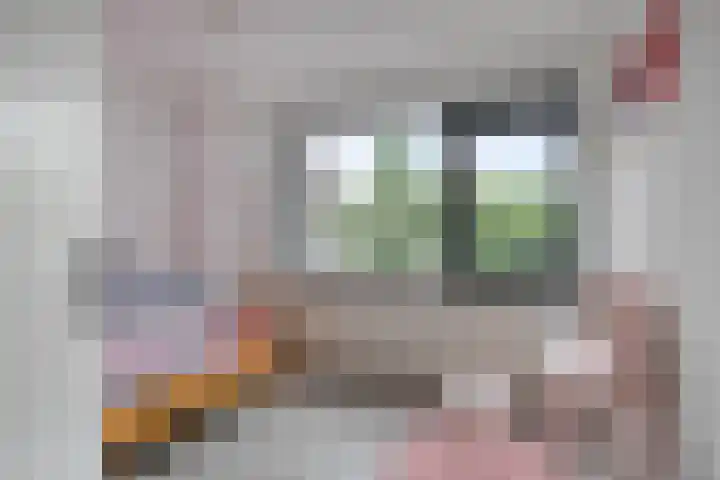 Karelstraat 7 Uden thumbnail 26