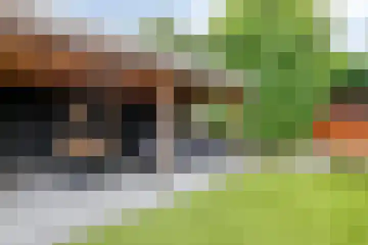 Karelstraat 7 Uden thumbnail 33
