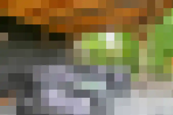 Karelstraat 7 Uden thumbnail 34