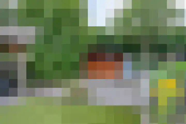 Karelstraat 7 Uden thumbnail 35