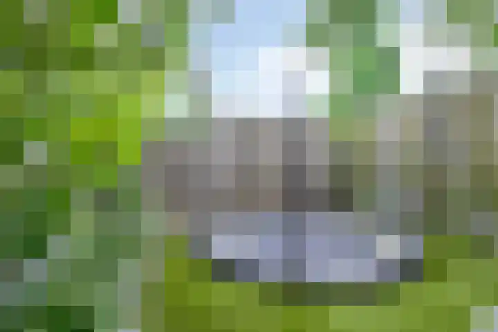 Karelstraat 7 Uden thumbnail 36
