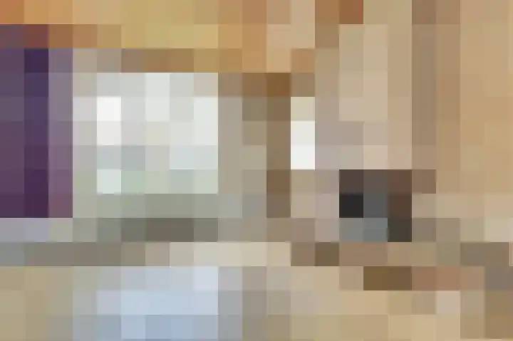 Karelstraat 7 Uden thumbnail 39