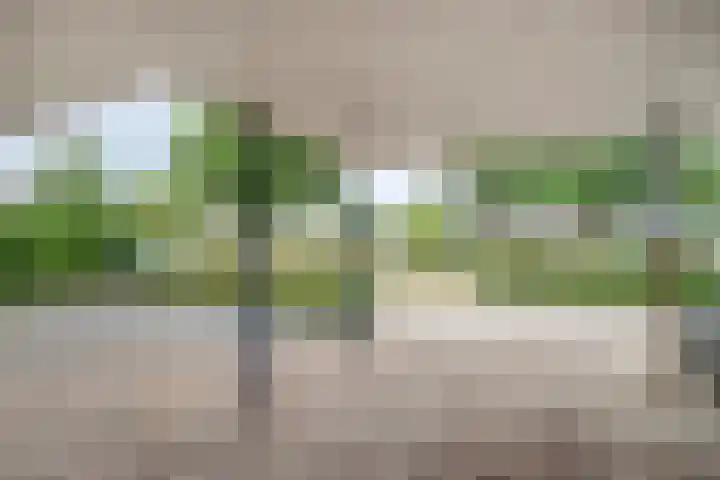 Karelstraat 7 Uden thumbnail 39