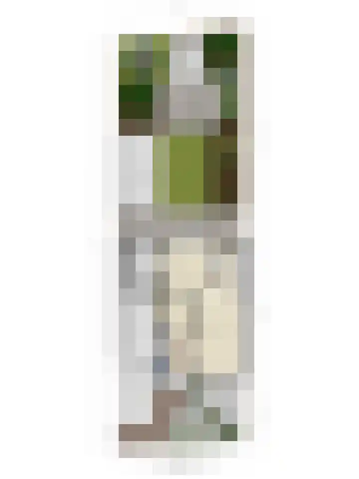 Karelstraat 7 Uden thumbnail 47