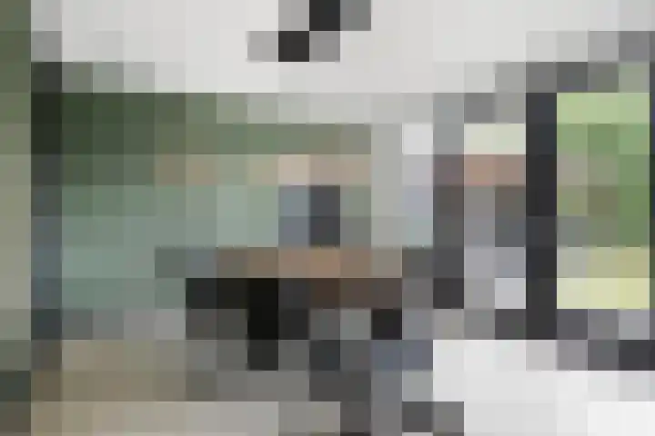 Karelstraat 7 Uden thumbnail 7