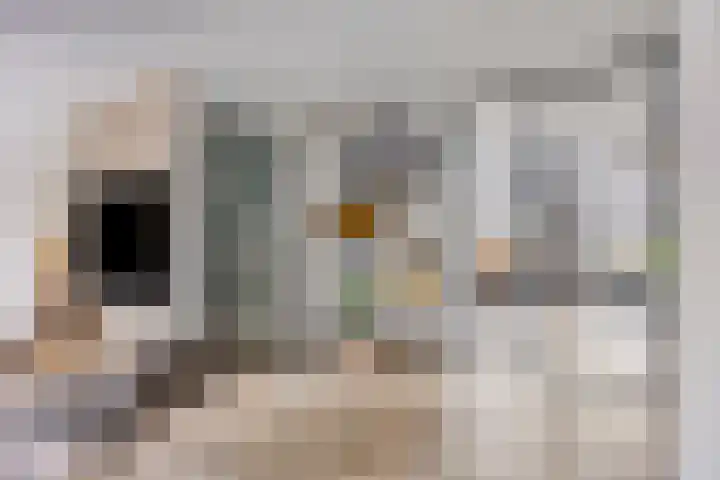 Kariboelaan 25 Helmond thumbnail 20