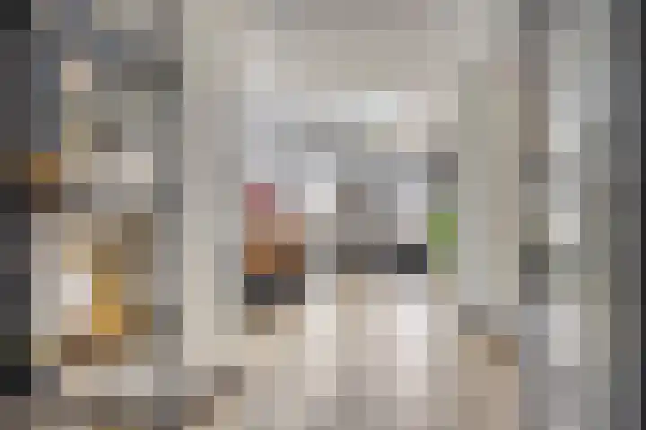 Kariboelaan 25 Helmond thumbnail 23