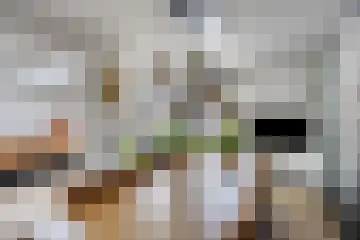 Kariboelaan 25 Helmond thumbnail 26