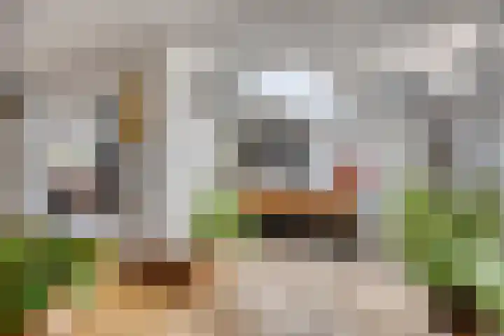 Kariboelaan 25 Helmond thumbnail 27