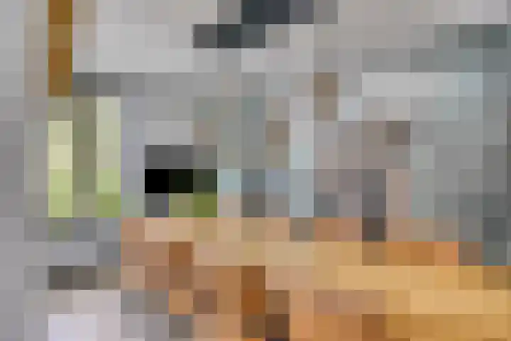 Kariboelaan 25 Helmond thumbnail 30