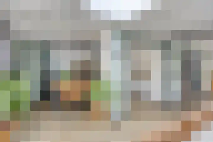 Kariboelaan 25 Helmond thumbnail 31