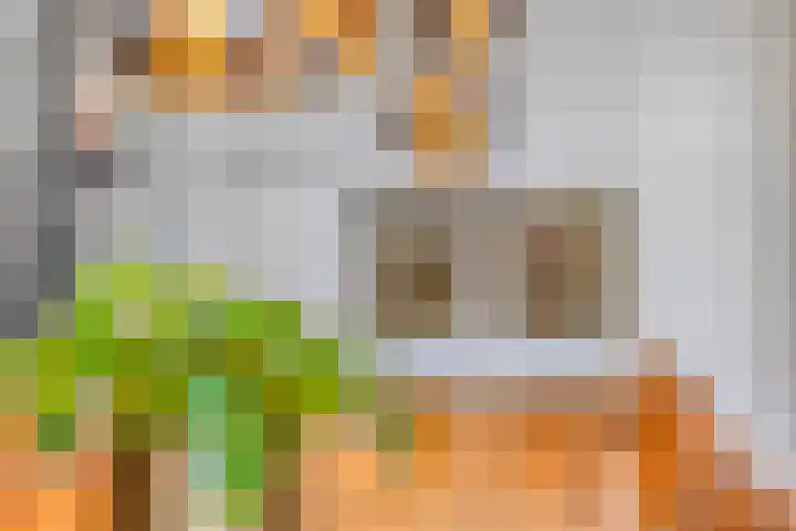 Kariboelaan 25 Helmond thumbnail 34