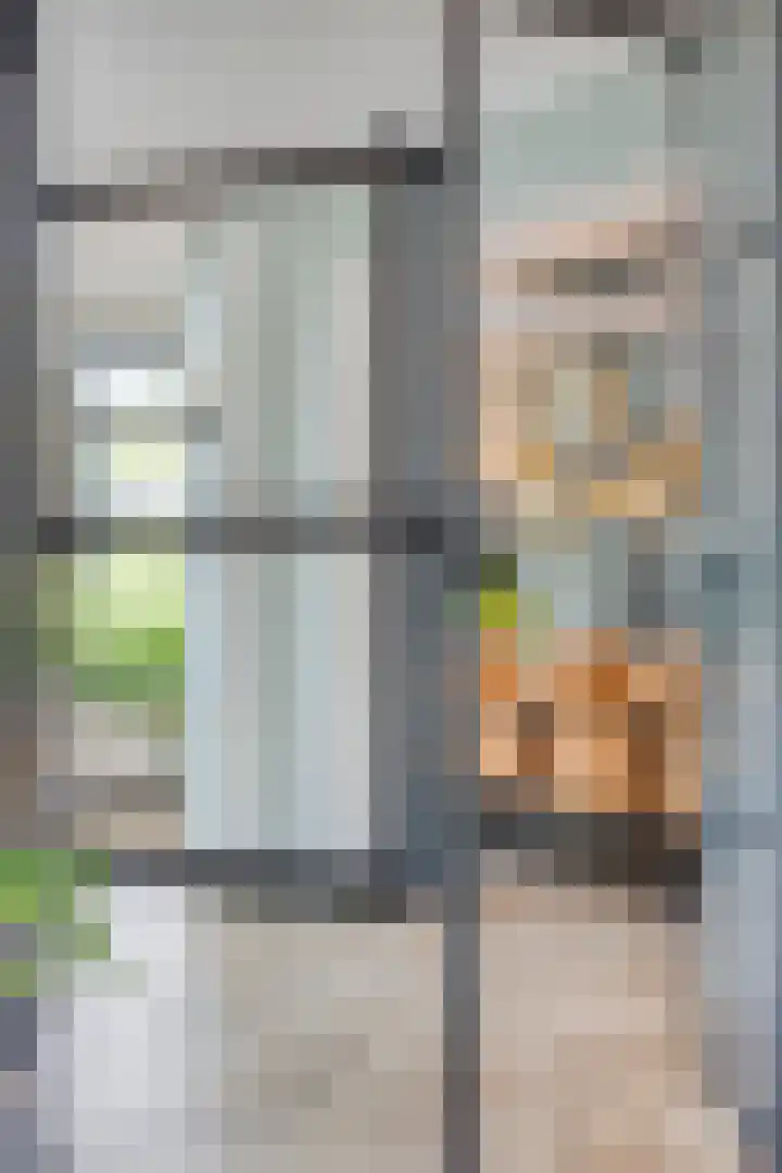 Kariboelaan 25 Helmond thumbnail 37